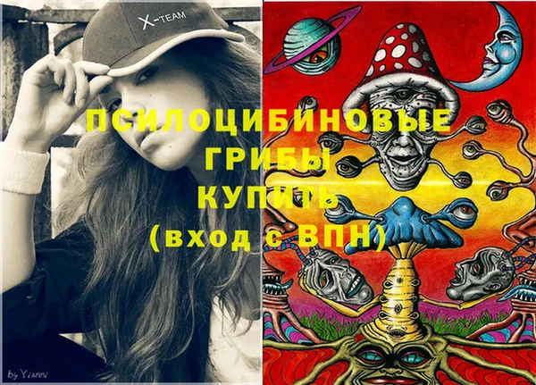 дурь Арсеньев