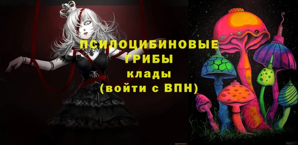 дурь Арсеньев