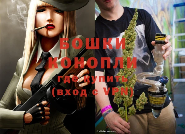 a pvp Новозыбков